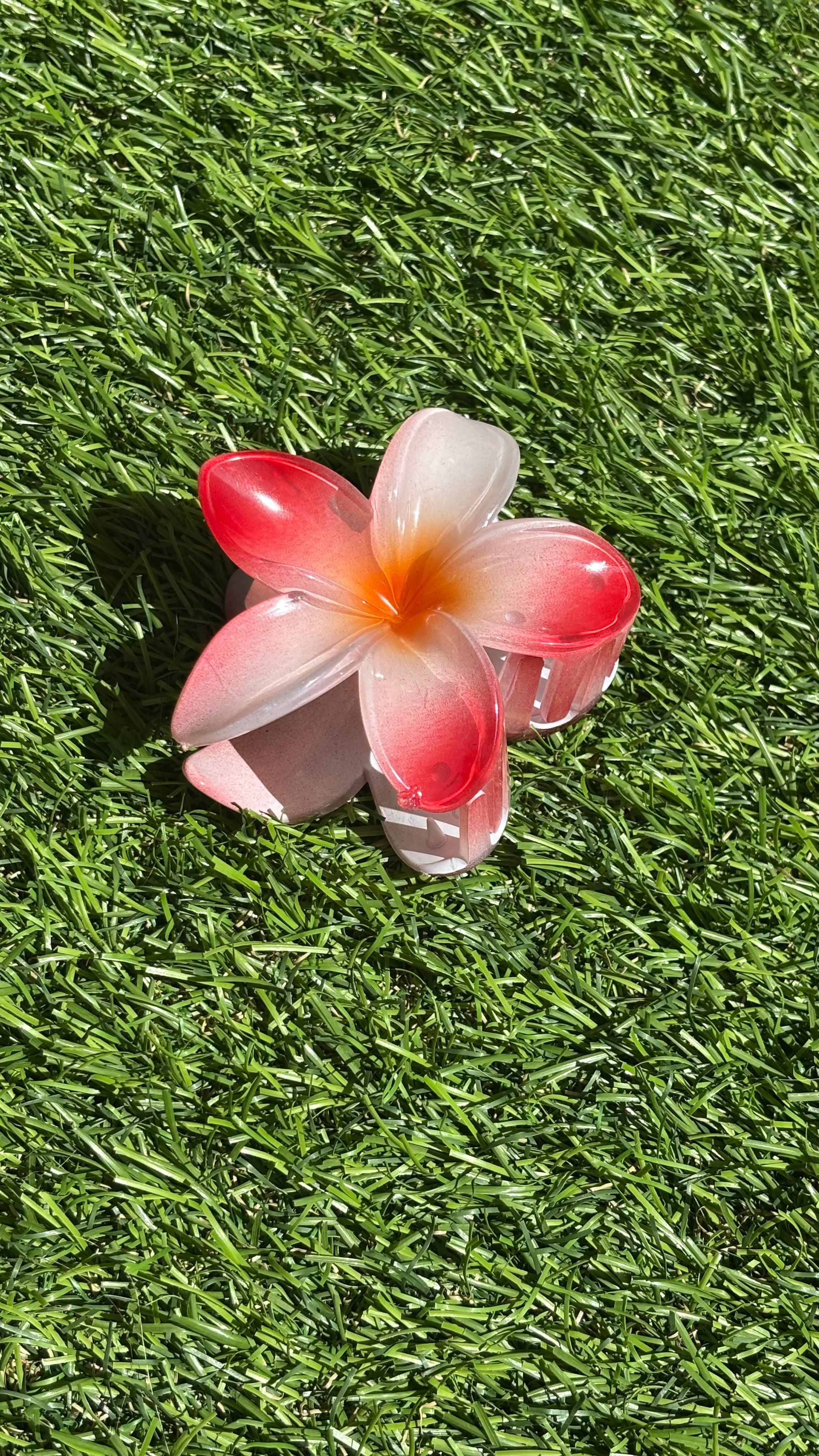 Hawaii Haarclip