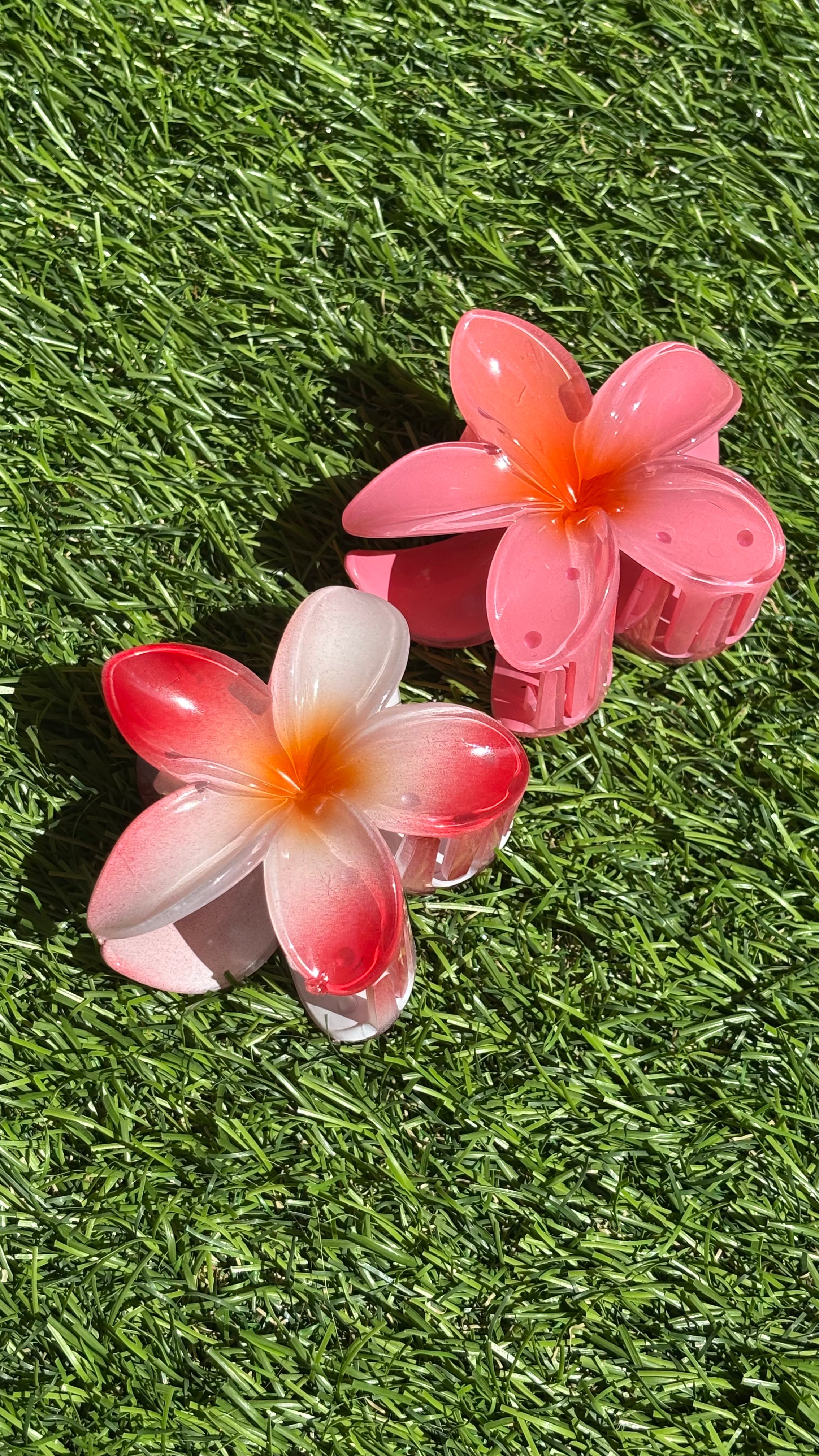 Hawaii Haarclip