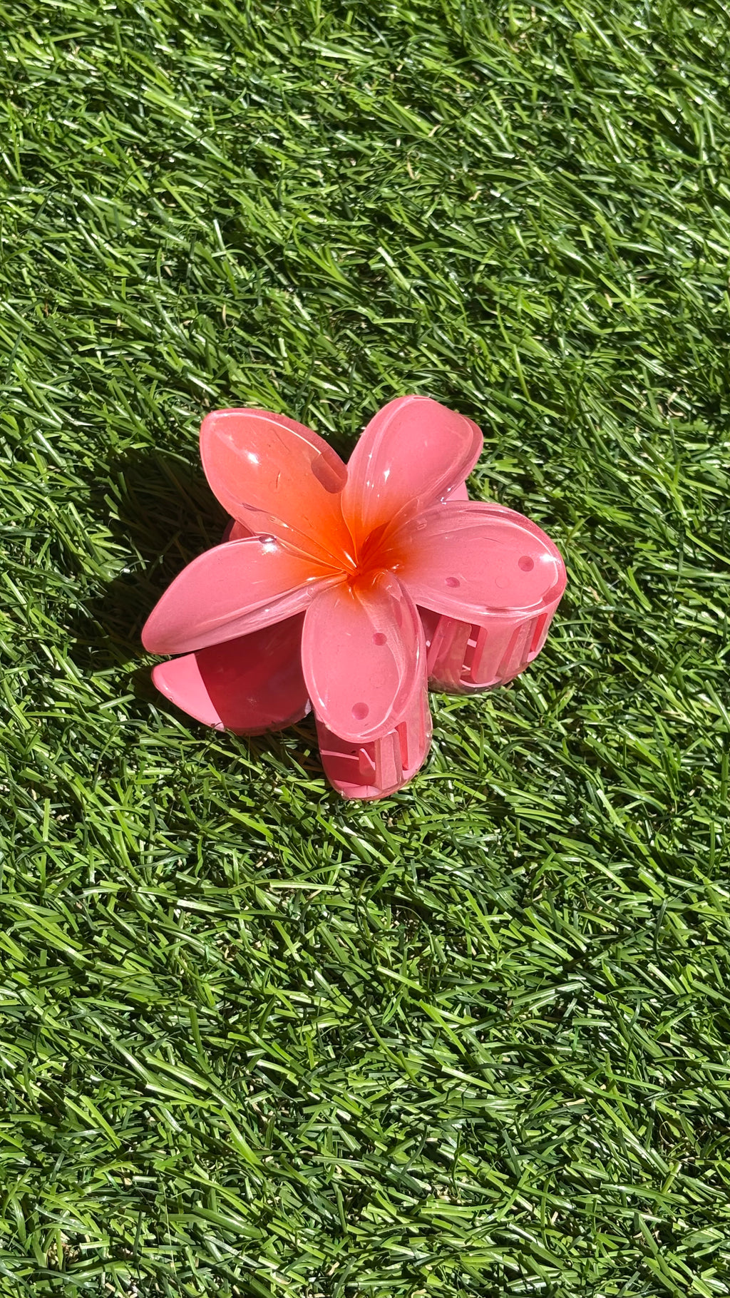 Hawaii Haarclip